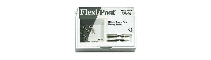Flexi-Post: Prefabrykowany system wkładów z rozciętym trzonem